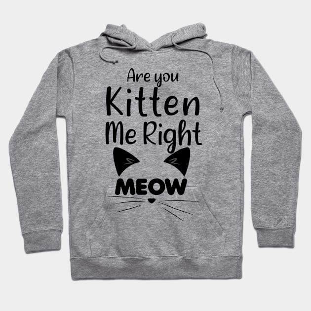 Funny Cat Joke - Are You Kitten Me Right Meow - Funny Gift Ideas For Mom Hoodie by Arda